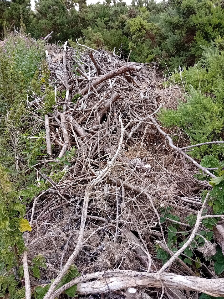 A wooden bug hotel installed on the grounds of Golf Club of Dublin to support native insect populations and biodiversity