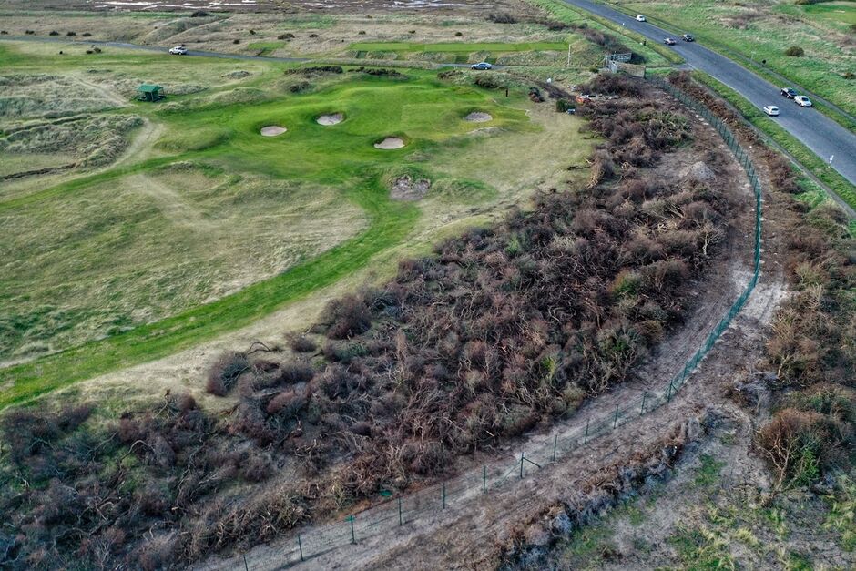 Drone aerial photograph of the 9th green at Golf Club of Dublin following invasive buckthorn removal in February 2019, showing habitat restoration